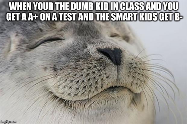 Satisfied Seal Meme | WHEN YOUR THE DUMB KID IN CLASS AND YOU GET A A+ ON A TEST AND THE SMART KIDS GET B- | image tagged in memes,satisfied seal | made w/ Imgflip meme maker