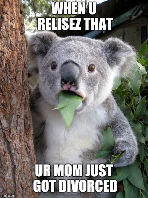 Surprised Koala Meme | WHEN U RELISEZ THAT; UR MOM JUST GOT DIVORCED | image tagged in memes,surprised koala | made w/ Imgflip meme maker