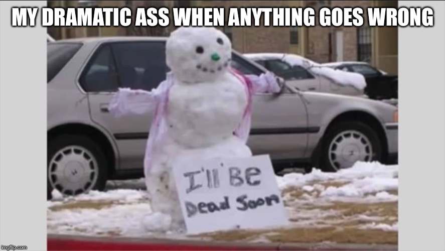 MY DRAMATIC ASS WHEN ANYTHING GOES WRONG | image tagged in i'll be dead soon | made w/ Imgflip meme maker