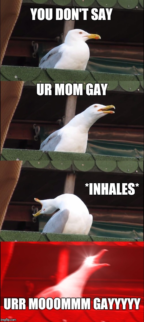 Inhaling Seagull | YOU DON'T SAY; UR MOM GAY; *INHALES*; URR MOOOMMM GAYYYYY | image tagged in memes,inhaling seagull | made w/ Imgflip meme maker