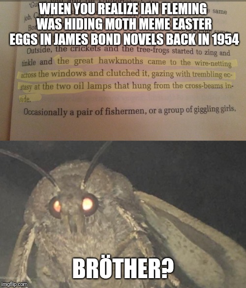 James and the giant moth | WHEN YOU REALIZE IAN FLEMING WAS HIDING MOTH MEME EASTER EGGS IN JAMES BOND NOVELS BACK IN 1954; BRÖTHER? | image tagged in moth,brther,james bond | made w/ Imgflip meme maker