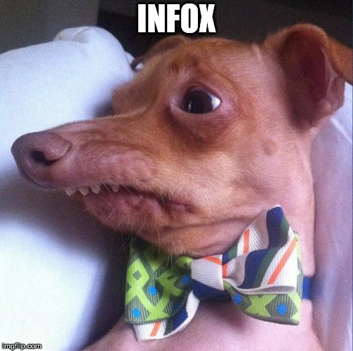 Tuna the dog (Phteven) | INFOX | image tagged in tuna the dog phteven | made w/ Imgflip meme maker