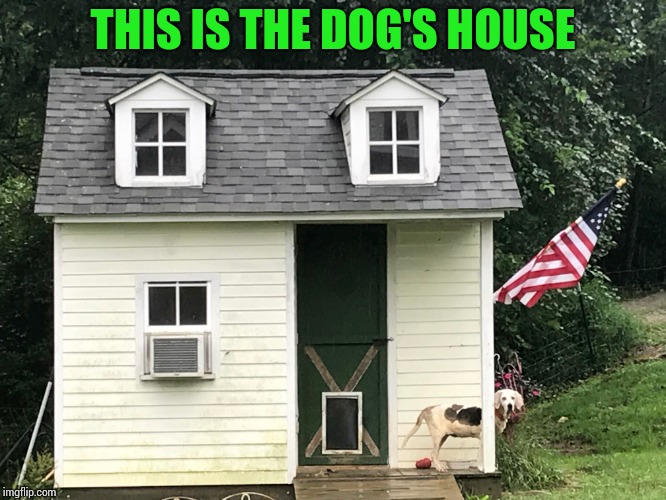 THIS IS THE DOG'S HOUSE | made w/ Imgflip meme maker