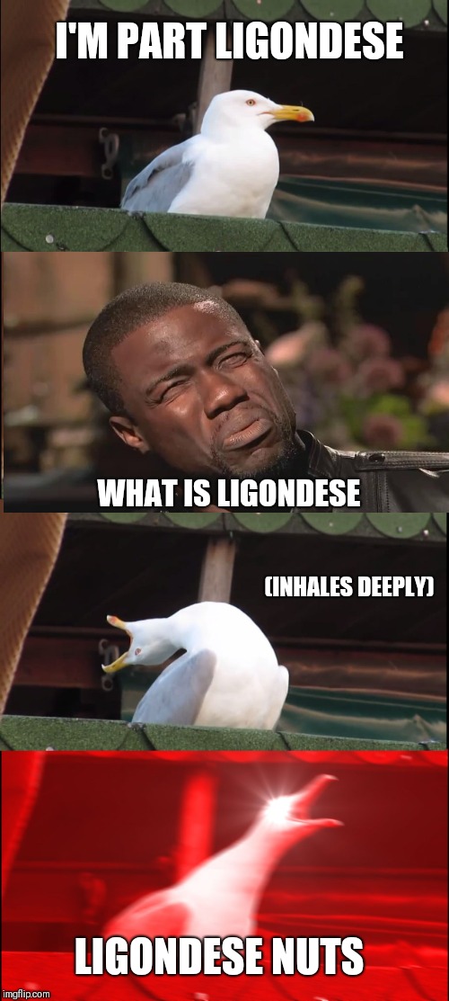 Inhaling Seagull | I'M PART LIGONDESE; WHAT IS LIGONDESE; (INHALES DEEPLY); LIGONDESE NUTS | image tagged in memes,inhaling seagull | made w/ Imgflip meme maker