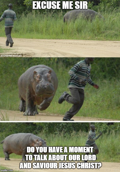 hippo | EXCUSE ME SIR; DO YOU HAVE A MOMENT TO TALK ABOUT OUR LORD AND SAVIOUR JESUS CHRIST? | image tagged in hippo | made w/ Imgflip meme maker