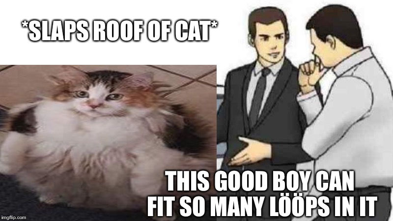 Lööps? | *SLAPS ROOF OF CAT*; THIS GOOD BOY CAN FIT SO MANY LÖÖPS IN IT | image tagged in cats,memes,car salesman slaps hood of car | made w/ Imgflip meme maker