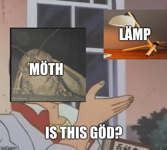 Is This A Pigeon | LÄMP; MÖTH; IS THIS GÖD? | image tagged in memes,is this a pigeon | made w/ Imgflip meme maker