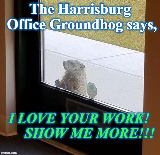 groundhog | The Harrisburg Office Groundhog says, I LOVE YOUR WORK!      SHOW ME MORE!!! | image tagged in groundhog | made w/ Imgflip meme maker