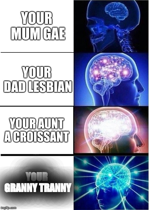 your mum gay | YOUR MUM GAE; YOUR DAD LESBIAN; YOUR AUNT A CROISSANT; YOUR GRANNY TRANNY | image tagged in memes,expanding brain | made w/ Imgflip meme maker