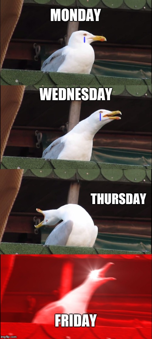 Inhaling Seagull | MONDAY; WEDNESDAY; THURSDAY; FRIDAY | image tagged in memes,inhaling seagull | made w/ Imgflip meme maker