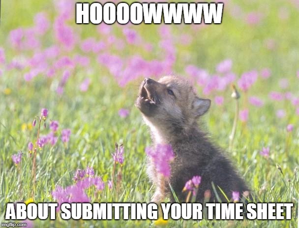Baby Insanity Wolf Meme | HOOOOWWWW; ABOUT SUBMITTING YOUR TIME SHEET | image tagged in memes,baby insanity wolf | made w/ Imgflip meme maker