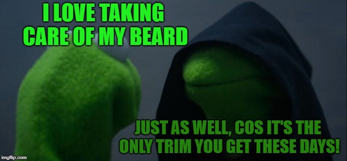 Evil Kermit Meme | I LOVE TAKING CARE OF MY BEARD JUST AS WELL, COS IT'S THE ONLY TRIM YOU GET THESE DAYS! | image tagged in memes,evil kermit | made w/ Imgflip meme maker