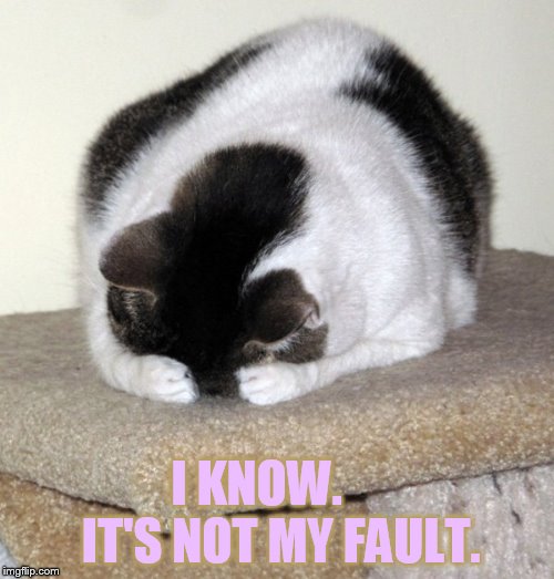 I KNOW.     IT'S NOT MY FAULT. | made w/ Imgflip meme maker