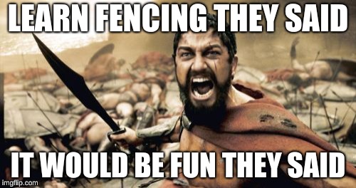 Sparta Leonidas | LEARN FENCING THEY SAID; IT WOULD BE FUN THEY SAID | image tagged in memes,sparta leonidas | made w/ Imgflip meme maker