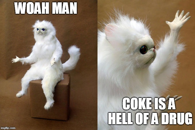 Persian Cat Room Guardian | WOAH MAN; COKE IS A HELL OF A DRUG | image tagged in memes,persian cat room guardian | made w/ Imgflip meme maker