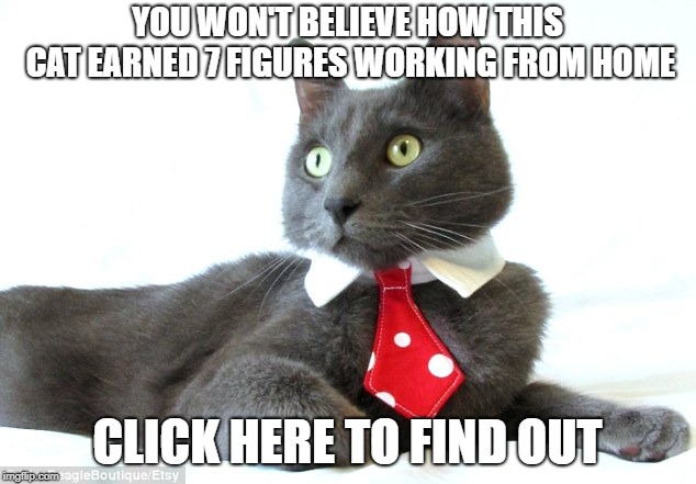 spam cat | YOU WON'T BELIEVE HOW THIS CAT EARNED 7 FIGURES WORKING FROM HOME; CLICK HERE TO FIND OUT | image tagged in spam marketing getrichquick | made w/ Imgflip meme maker
