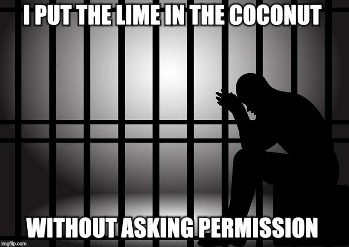 jail | I PUT THE LIME IN THE COCONUT; WITHOUT ASKING PERMISSION | image tagged in jail | made w/ Imgflip meme maker