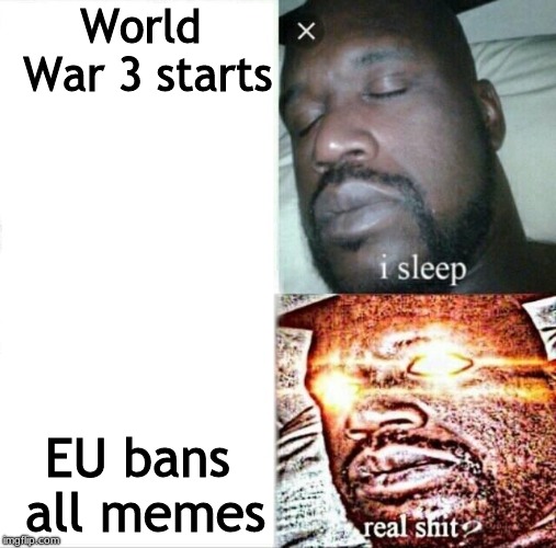 Real shit?? | World War 3 starts; EU bans all memes | image tagged in memes,sleeping shaq | made w/ Imgflip meme maker