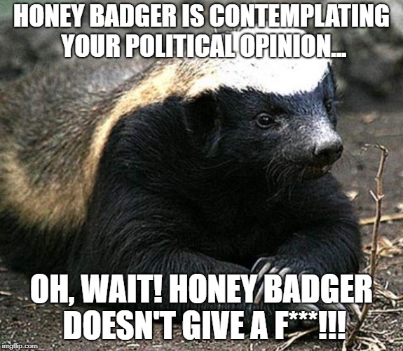 Honey badger | HONEY BADGER IS CONTEMPLATING YOUR POLITICAL OPINION... OH, WAIT! HONEY BADGER DOESN'T GIVE A F***!!! | image tagged in honey badger | made w/ Imgflip meme maker