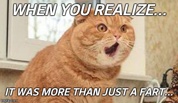 cat | WHEN YOU REALIZE... IT WAS MORE THAN JUST A FART... | image tagged in funny memes | made w/ Imgflip meme maker