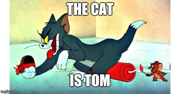 THE CAT IS TOM | made w/ Imgflip meme maker