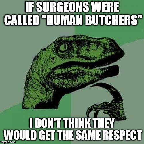 Philosoraptor Meme | IF SURGEONS WERE CALLED "HUMAN BUTCHERS"; I DON'T THINK THEY WOULD GET THE SAME RESPECT | image tagged in memes,philosoraptor | made w/ Imgflip meme maker