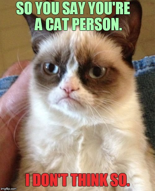Grumpy Cat Meme | SO YOU SAY YOU'RE    A CAT PERSON. I DON'T THINK SO. | image tagged in memes,grumpy cat,you,cat,person,i don't think so | made w/ Imgflip meme maker