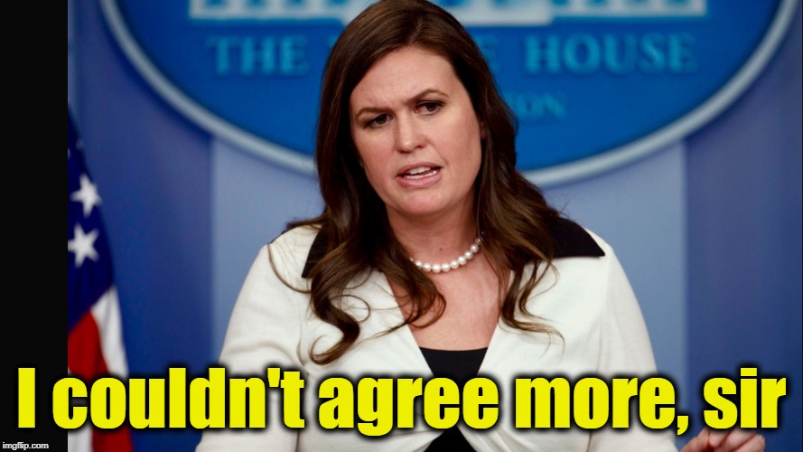 Sarah Sanders  | I couldn't agree more, sir | image tagged in sarah sanders | made w/ Imgflip meme maker