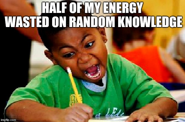 homework | HALF OF MY ENERGY WASTED ON RANDOM KNOWLEDGE | image tagged in homework | made w/ Imgflip meme maker