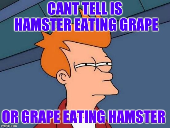 Futurama Fry Meme | CANT TELL IS HAMSTER EATING GRAPE OR GRAPE EATING HAMSTER | image tagged in memes,futurama fry | made w/ Imgflip meme maker