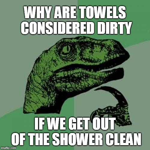 Philosoraptor | WHY ARE TOWELS CONSIDERED DIRTY; IF WE GET OUT OF THE SHOWER CLEAN | image tagged in memes,philosoraptor | made w/ Imgflip meme maker