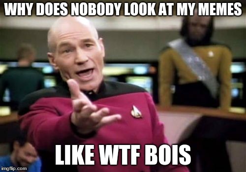 Please look at them ┬┴┬┴┤(･_├┬┴┬┴ | WHY DOES NOBODY LOOK AT MY MEMES; LIKE WTF BOIS | image tagged in memes,picard wtf | made w/ Imgflip meme maker