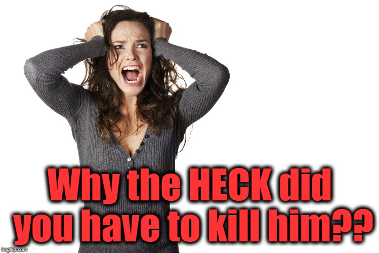 Why the HECK did you have to kill him?? | made w/ Imgflip meme maker