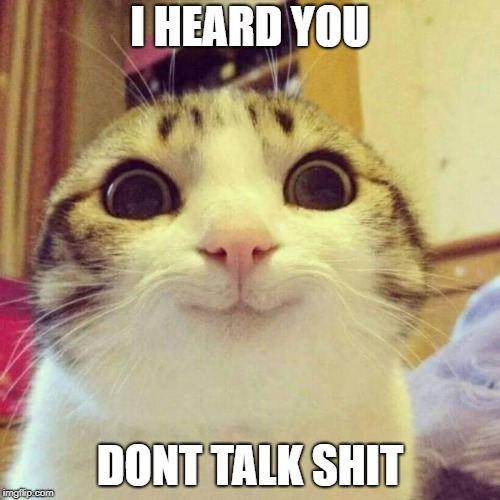 Smiling Cat Meme | I HEARD YOU; DONT TALK SHIT | image tagged in memes,smiling cat | made w/ Imgflip meme maker