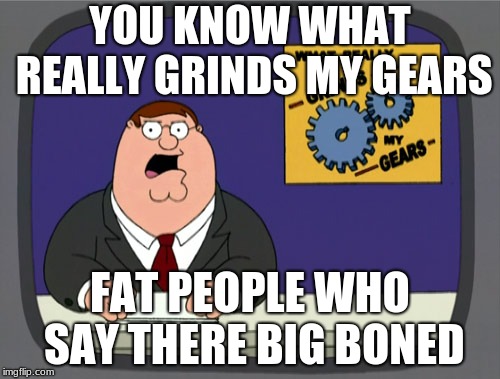 Peter Griffin News Meme | YOU KNOW WHAT REALLY GRINDS MY GEARS; FAT PEOPLE WHO SAY THERE BIG BONED | image tagged in memes,peter griffin news | made w/ Imgflip meme maker