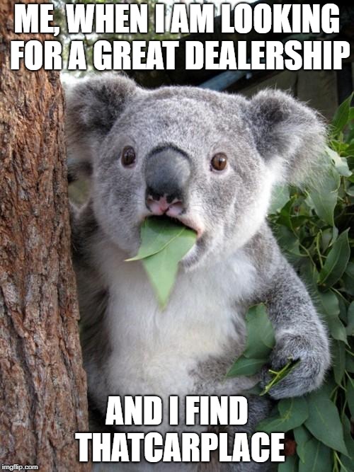 Surprised Koala | ME, WHEN I AM LOOKING FOR A GREAT DEALERSHIP; AND I FIND THATCARPLACE | image tagged in memes,surprised koala | made w/ Imgflip meme maker