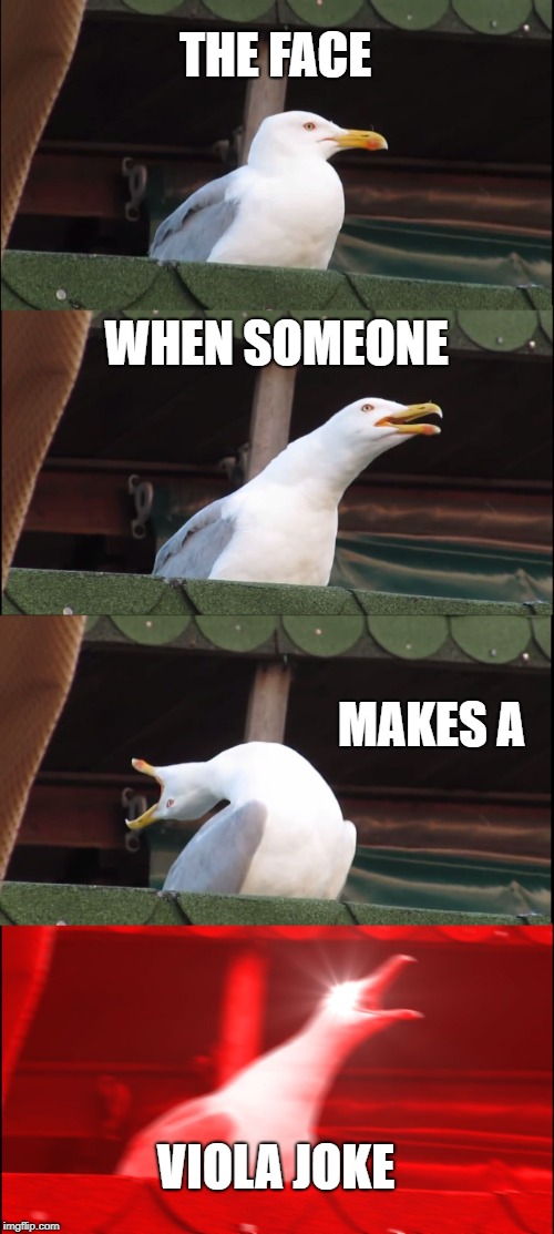 Inhaling Seagull Meme | THE FACE; WHEN SOMEONE; MAKES A; VIOLA JOKE | image tagged in memes,inhaling seagull | made w/ Imgflip meme maker