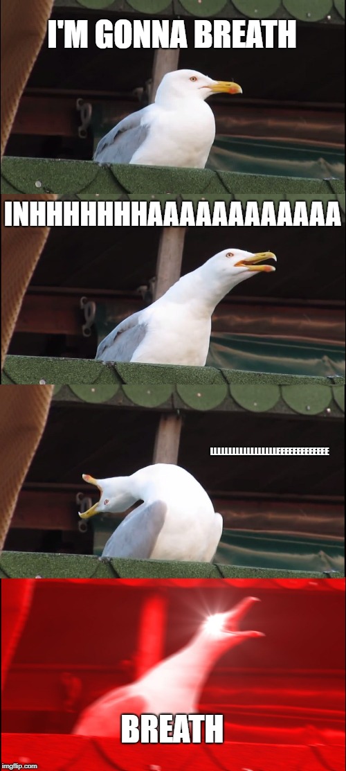 Inhaling Seagull | I'M GONNA BREATH; INHHHHHHHAAAAAAAAAAAA; LLLLLLLLLLLLLLLLLLEEEEEEEEEEEEE; BREATH | image tagged in memes,inhaling seagull | made w/ Imgflip meme maker