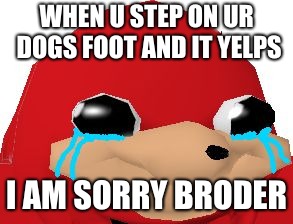 Crying Ugandan Knuckles Transparent | WHEN U STEP ON UR DOGS FOOT AND IT YELPS; I AM SORRY BRODER | image tagged in crying ugandan knuckles transparent | made w/ Imgflip meme maker