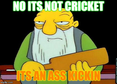That's a paddlin' Meme | NO ITS NOT CRICKET; ITS AN ASS KICKIN | image tagged in memes,that's a paddlin' | made w/ Imgflip meme maker