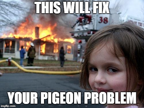 Disaster Girl Meme | THIS WILL FIX; YOUR PIGEON PROBLEM | image tagged in memes,disaster girl | made w/ Imgflip meme maker