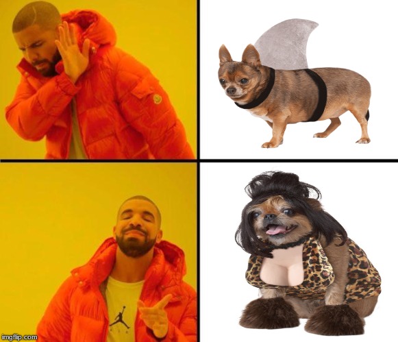 drake meme | image tagged in drake meme | made w/ Imgflip meme maker