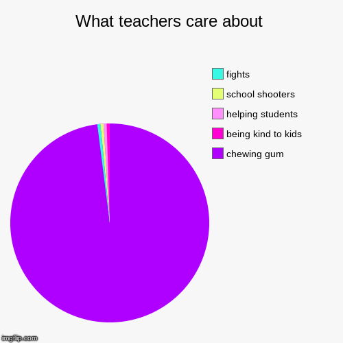 What teachers care about | chewing gum, being kind to kids, helping students, school shooters, fights | image tagged in funny,pie charts | made w/ Imgflip chart maker