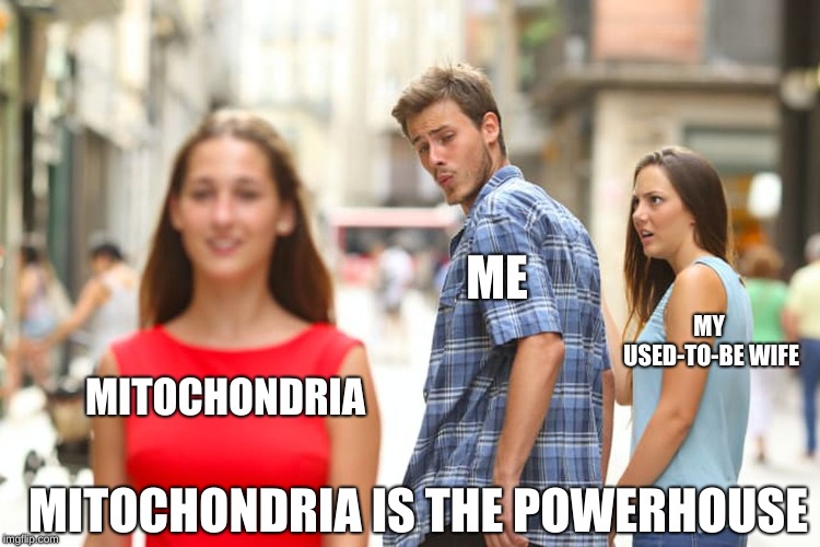 Distracted Boyfriend Meme | ME; MY USED-TO-BE WIFE; MITOCHONDRIA; MITOCHONDRIA IS THE POWERHOUSE | image tagged in memes,distracted boyfriend | made w/ Imgflip meme maker