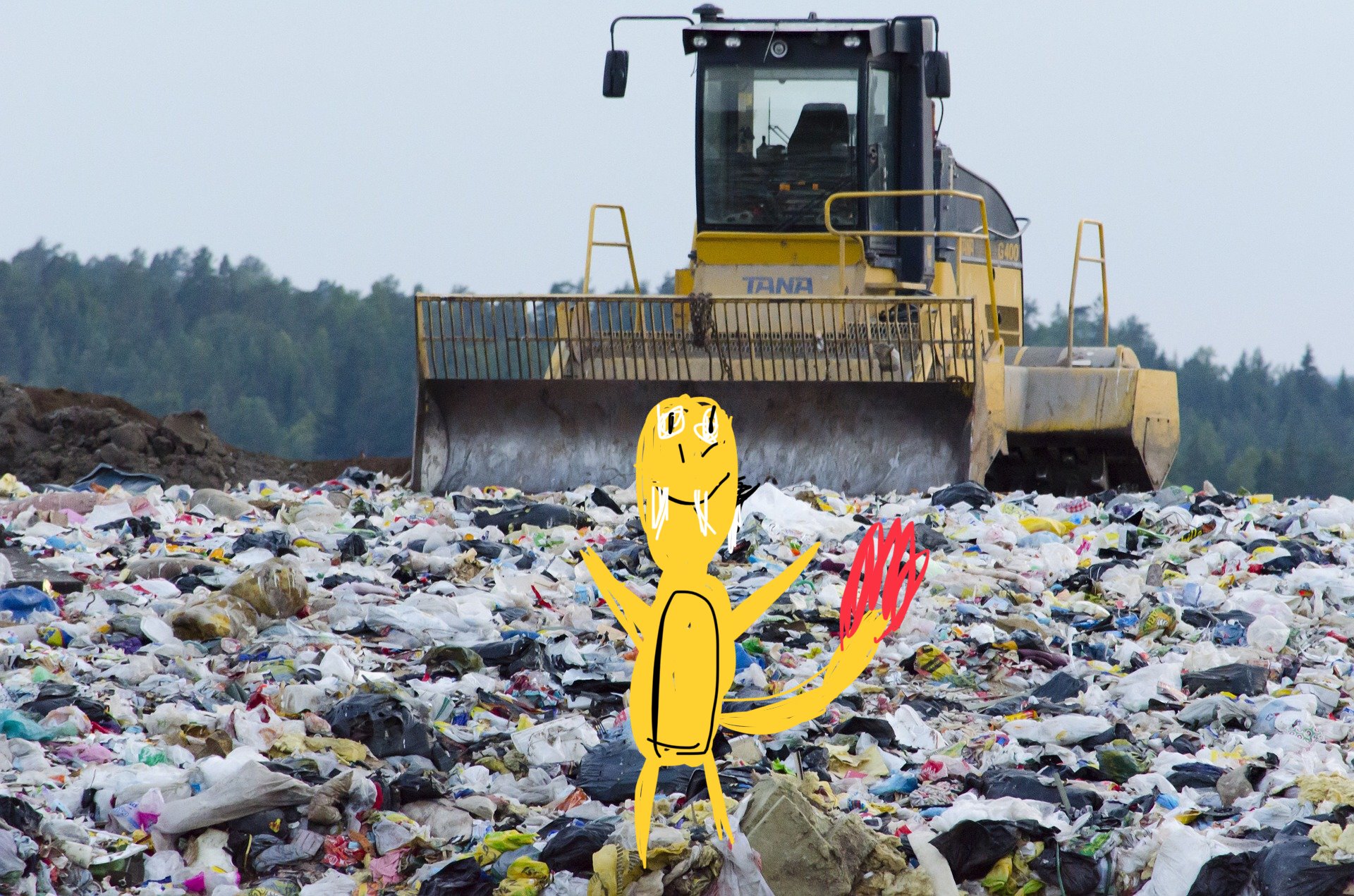 Charmander in the landfill Blank Meme Template