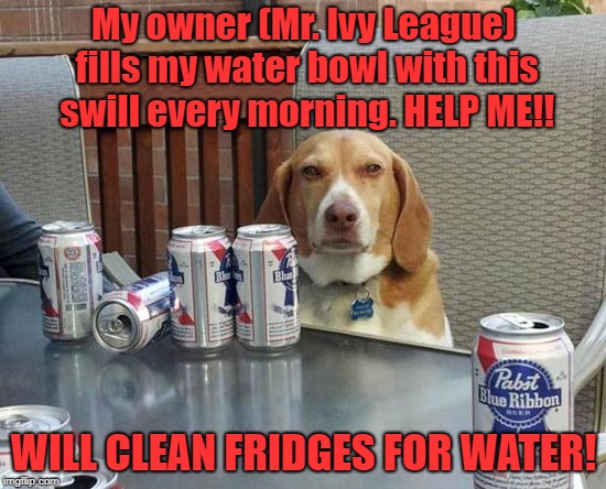 dog beer | My owner (Mr. Ivy League) fills my water bowl with this swill every morning.
HELP ME!! WILL CLEAN FRIDGES FOR WATER! | image tagged in dog beer | made w/ Imgflip meme maker