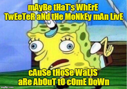 Mocking Spongebob Meme | mAyBe tHaT's WhErE TwEeTeR aNd tHe MoNkEy mAn LivE cAuSe tHoSe WaLlS aRe AbOuT tO cOmE DoWn | image tagged in memes,mocking spongebob | made w/ Imgflip meme maker