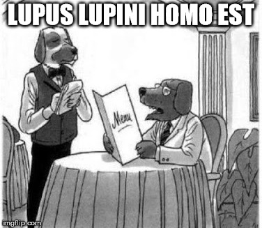 Lupus Lupini Homo Est | LUPUS LUPINI HOMO EST | image tagged in wolf,wolfman,man is a wolf,wolf is a man,banana boat | made w/ Imgflip meme maker