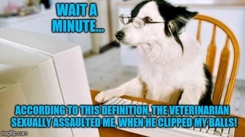 Dog computer | WAIT A MINUTE... ACCORDING TO THIS DEFINITION, THE VETERINARIAN  SEXUALLY ASSAULTED ME, WHEN HE CLIPPED MY BALLS! | image tagged in dog computer | made w/ Imgflip meme maker