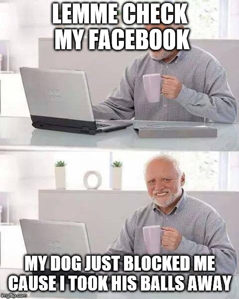 Hide the Pain Harold Meme | LEMME CHECK MY FACEBOOK; MY DOG JUST BLOCKED ME CAUSE I TOOK HIS BALLS AWAY | image tagged in memes,hide the pain harold | made w/ Imgflip meme maker